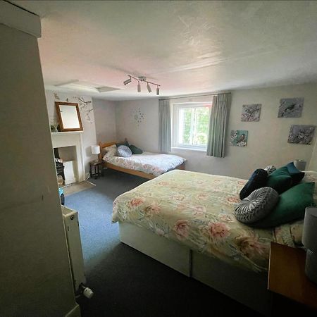 Beautiful Townhouse Next To Royal Victoria Park And Botanical Gardens Within Easy Walking Distance To Bath City Centre エクステリア 写真